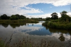 Mere Moor