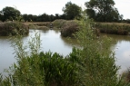 Mill Road Fishery