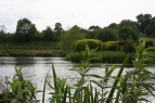 Millbrook Fisheries