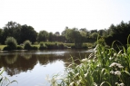 Millbrook Fisheries