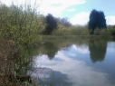 Oakwood Fisheries