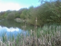 Oakwood Fisheries