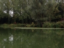 Olivemead Lake