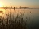 Piddinghoe Pond