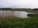 Piddinghoe Pond