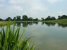 Pool Bridge Farm