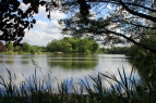 Poynton Pool