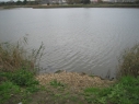 Radipole Lake