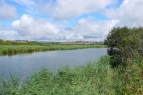 Radipole Lake