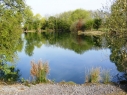 Rhee Valley Fishery