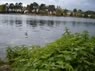 Roath Park Lake