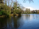 Roath Park Lake