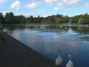 Roath Park Lake