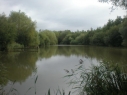 Rookery Meadow