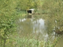 Rookery Meadow