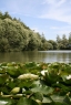 Rookley Country Park