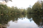 Rougham Lake