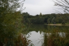 Shallowbrook Lakes