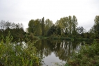 Shallowbrook Lakes