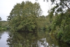 Shallowbrook Lakes