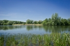 Sibson Fisheries