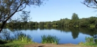 Stanwick Lakes