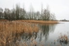 Teakettle Fisheries