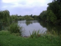 Thornleigh Fisheries