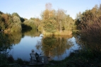 Wedgehill Ponds