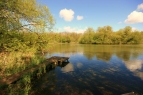 Welham Lake