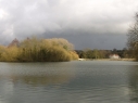 Welham Lake