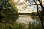 Welham Lake