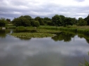 Wellow Dam