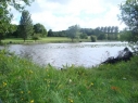 Wentworth Fisheries