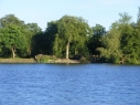 Wentworth Fisheries