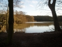 Willesley Lake