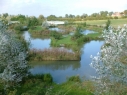 Willow Lakes