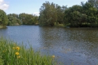 Willowfield Lake