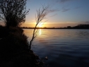 Willows Lake