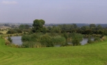 Woodlands Fishery