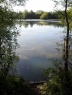 Yateley Car Park Lake