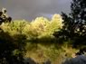 Yateley Match Lake