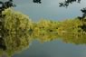 Yateley North Lake