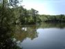 Yateley North Lake