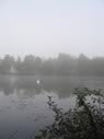 Yateley Pads Lake