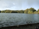 Sandhurst Lake