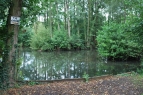 Yateley South Lake