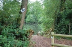 Yateley South Lake