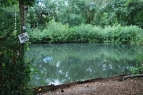 Yateley South Lake