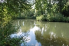 Yateley South Lake